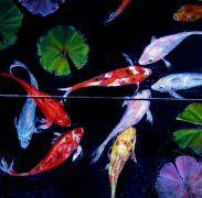 Talk Story Koi